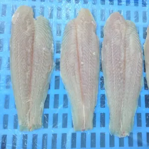 Filet de pangasius congelé dans le poisson Basa Vietnam de haute qualité
