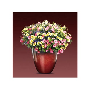 Pot de fleurs rond pour le jardin, poêle à œufs à effet glacé, 13 ", Patio, plante - Product Image 4