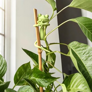 Supports de plantes pour tomates en gros, accessoires de jardinage, supports pour pots et jardinières d'intérieur, accessoires pour vignes - Product Image 6