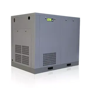 Permanent Magnet Energy Saving Compressor Pm Vsd Screw Air Compressor With Inverter Ip54 Ip55 Hot Selling