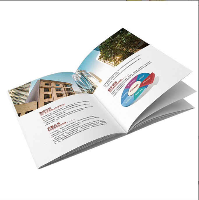 Brochure Design Sample Printing Contract Book Manual Atlas propaganda Album Customization