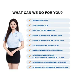 Service de logistique express Chine Pays-Bas Allemagne Royaume-Uni France Agent d'expédition de fret DHL/FEDEX/UPS - Product Image 3