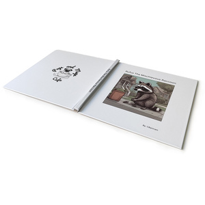 Libros Infantiles de Tapa Dura Personalizados de Fábrica, Impresión a Todo Color, Libros de Historietas de Papel con Buena Calidad de Producto - Product Image 5