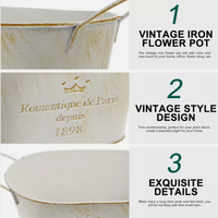 Pot de fleurs ovale en métal galvanisé avec poignée, design écologique, durable et léger, trou de drainage pour jardin intérieur/extérieur