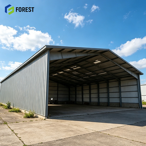 Hangar d'avion préfabriqué en acier de qualité industrielle, grande structure modulaire à travée libre pour terminal aéroportuaire - Product Image 1