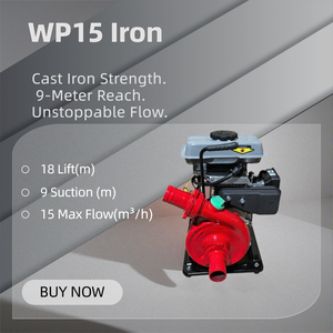 ปั๊มน้ำเหล็กหล่อแบบนี้<span class=keywords><strong>ส</strong></span>ามารถทำงานไ<span class=keywords><strong>ด</strong></span>้แม่ฝนตก และดูดน้ำจากใต้ดินได้ลึก 9 เมตร ที่คนอื่นไม่<span class=keywords><strong>ส</strong></span>ามารถเข้าถึงไ<span class=keywords><strong>ด</strong></span>้ - Product Image 1