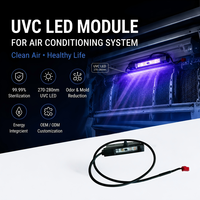 Lampe LED UV germicide UVC 1W 12V à double source lumineuse pour ongles 265nm 365nm en verre de quartz avec télécommande et purification de l'air