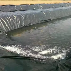 500 Micron 750 Micron Hdpe Geomembrane P-Liners Vissen Vijver Liner In Filipijnen