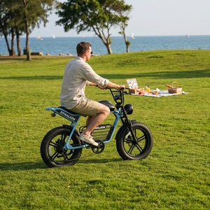 Bicicleta Eléctrica de Neumáticos Anchos para Paseos de Ocio con Baterí<span class=keywords><strong>a</strong></span> Extraíble, Bicicleta Eléctrica Retro de Doble Asiento para Picnic en el Parque y <span class=keywords><strong>Viajes</strong></span> Familiares - Product Image 6