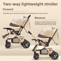 Poussette pliable en métal léger pour bébés de 0 à 6 mois ; Design simple, siège inclinable, poignée à maniement fluide, quatre roues
