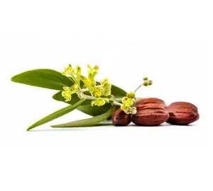 Quantité en vrac d'huile de jojoba dorée naturelle pure de qualité supérieure 100% au prix d'usine