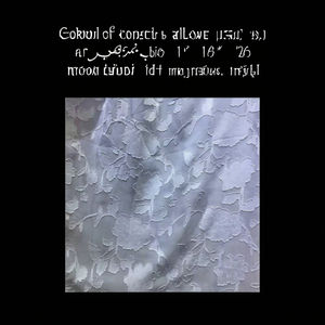 Tissu en mousseline de soie Jacquard 100% polyester, grande fleur coupée à la pointe, pyjamas pour dames, rideau de doublure en écharpe, le plus populaire - Product Image 3