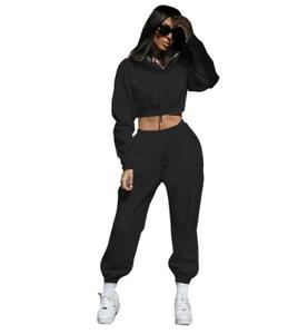 Ensemble de survêtement Alxin grande taille doublé polaire avec capuche, manches longues, décontracté et sportif, deux pièces pour <span class=keywords><strong>femme</strong></span> - Product Image 2