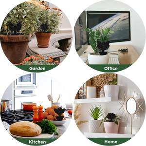 สติกเกอร์ดักแมลงแบบสองด้าน ผลิตจากวัสดุที่เป็นมิตรต่อสิ่งแวดล้อม สำหรับดักจับแมลงวันและผีเสื้อ แผ่นพลาสติก - Product Image 5