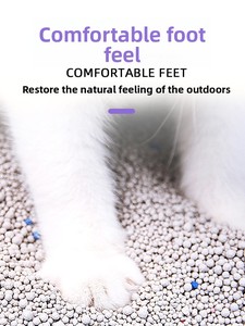 OEM ODM Fabrik Großhandel Arena Para Gatos Umweltfreundliche Staubfreie Schnell Klumpende Bentonit-Katzenstreu Hochabsorbierend - Product Image 4