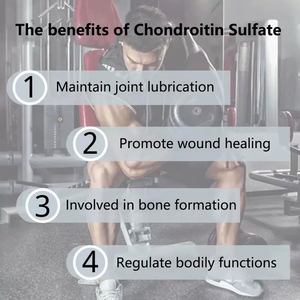 USP Standart OEM Fabrika Tedarikli Kondroitin Sülfat Tozu %85 %90 %95 Kemik ve Eklem Takviyeleri Deniz Kondroitin Sülfatı - Product Image 2