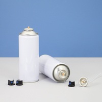 Vente en gros de boîtes en métal aérosol personnalisées de 200 ml pour huile moteur et lubrifiant, système de bouchon en plastique, emballage pour nettoyant