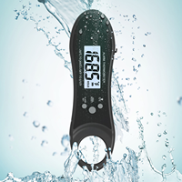 Thermomètre numérique à double sonde à lecture instantanée, rechargeable, pour la viande, le micro-ondes, le fumoir et le barbecue