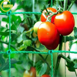 Filet de plantes grimpantes de soutien à bas prix pour l'ensemencement - Product Image 6