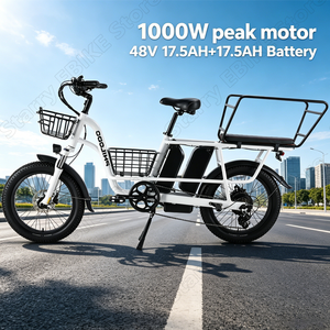 Alibaba.com上の高品質なフィロド電動自転車メーカーとフィロド電動