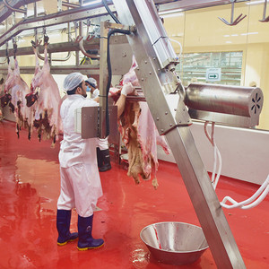 Proyecto Llave En Mano de Matadero Halal de Cordero - Product Image 3