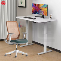 Bureaux debout électriques intelligents à moteur unique modernes, réglables en hauteur, en métal, pour étudiants, pour l'étude, le jeu sur ordinateur, le bureau