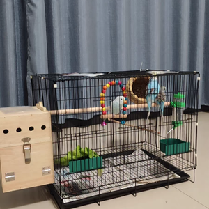 Cage d'élevage pour pigeons, étoiles, perroquets, en fil de fer, rectangulaire, nouvelle cage à oiseaux - Product Image 5