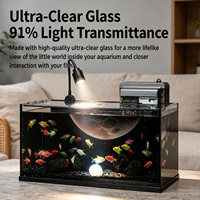 Aquarium de bureau sur le thème des planètes avec filtre supérieur, projecteur flexible et service de vente en gros sous marque privée