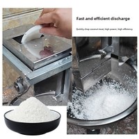 Machine électrique JOYCAN pour le traitement de la chair de noix de coco - Éplucheur/Râpeur/Broyeur de noix de coco 220V 2.2kW Garantie 2 ans pour usage commercial