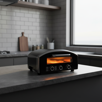 Four à pizza électrique multifonction portable sur pied, idéal pour la cuisine - Vente chaude