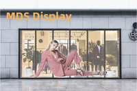 P3.9 P6 P10 Verre Transparent Affichage Transparent LED Flim Rideau Flexible LED Écran pour la Publicité LED Panneau LED Pantalla