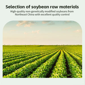 100% 天然大豆タンパク質分離酸粉末、食品グレードの分離大豆タンパク質健康補助剤として - Product Image 5