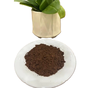Cacao en Polvo Alcalinizado 10-12% Precio Mayorista Proveedor a Granel 25kg Cacao Crudo en Polvo <span class=keywords><strong>de</strong></span> China - Product Image 1
