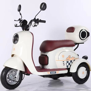 Venta Directa de Fábrica del Último Triciclo <span class=keywords><strong>El</strong></span>éctrico de Carga de 3 Ruedas Personalizable y Moderno con Capacidad de Carga de 100-200 kg para Uso de Pasajeros - Product Image 5