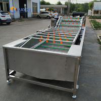 Dadelpreparatiemachine, voedselveilige roestvrijstalen bubbelwasser voor dadelpreparatielijn met transportband.