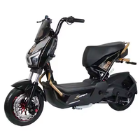 Moto électrique de rue pour adultes, cadre de course 48V, phares LED, batterie au plomb-acide, vitesse maximale 40-60 km/h, pour hommes, certifiée CEE