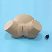 Modelo de Entrenamiento Avanzado en Obstetricia y Ginecología, Realista, Anatómico, para Escuelas de Medicina, Certificado ISO, Completamente Funcional, de PVC