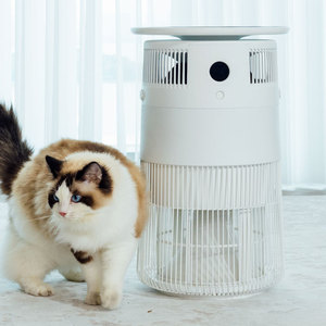 <span class=keywords><strong>Purificateur</strong></span> <span class=keywords><strong>d</strong></span>'<span class=keywords><strong>air</strong></span> pour animaux <span class=keywords><strong>de</strong></span> compagnie <span class=keywords><strong>de</strong></span> qualité médicale Airdog P50, filtre lavable pour chien et chat - Product Image 1