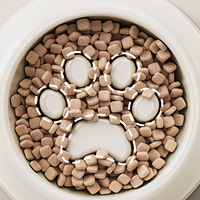 Gamelle double multifonction en plastique épaissi pour chat, anti-étouffement, alimentation lente, anti-éclaboussures
