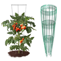 Prix d'usine – Cage de soutien inversée en fil de fer galvanisé pour tomates, treillis pour jardin domestique, application pour la protection des plantes