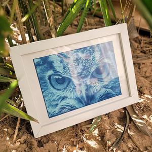 Kit de <span class=keywords><strong>Film</strong></span> de Papier d'Impression Soleil Couleur A6 avec Tutoriel et Outils 5 Pcs Cyanotype Paper Owl Head <span class=keywords><strong>Film</strong></span> 1 Sheets - Beginner DIY Art - Product Image 1