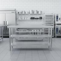 Table de travail en acier inoxydable à surface plane, étanche et anticorrosion, largeur personnalisée, pour clinique vétérinaire et salle de traitement