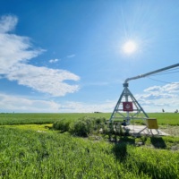 Machine agricole d'irrigation à pivot central à faible coût 15ha avec roue dans le système d'irrigation à pivot central système de contrôle 4g