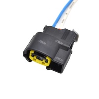 Konektor Otomotif Tahan Air 2 Pin Female Molex Auto Wire Harness Connector 49093-0211 DJ7027FA-2.2-21