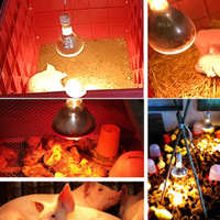 Lampe chauffante pour porcs, poulets, élevage vétérinaire, ampoule pour élevage, lampe de chauffage pour ferme animale, 220V, température de couleur non spécifiée, fabriqué en Chine