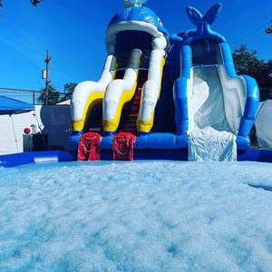 Scivolo d'acqua gonfiabile a doppia corsia con piscina buttafuori il grande parco acquatico balena - Product Image 3