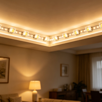 Puce LED SMD 5050 double couleur rouge et blanc 1W, haute puissance, montage en surface, support en plastique PCT pour module d'éclairage de scène à pixels