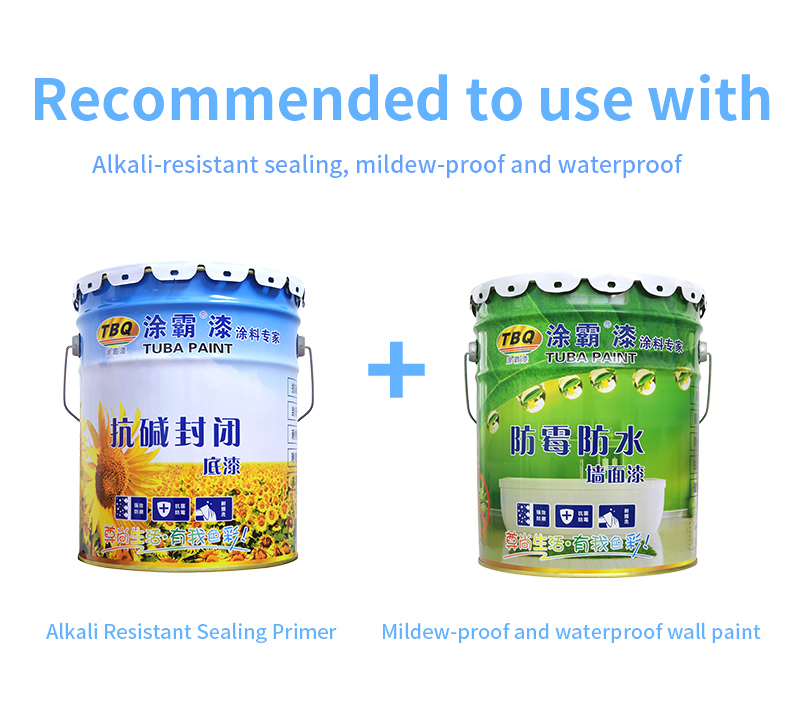 Easy Application Waterproof Color retention Interior Wall Paint