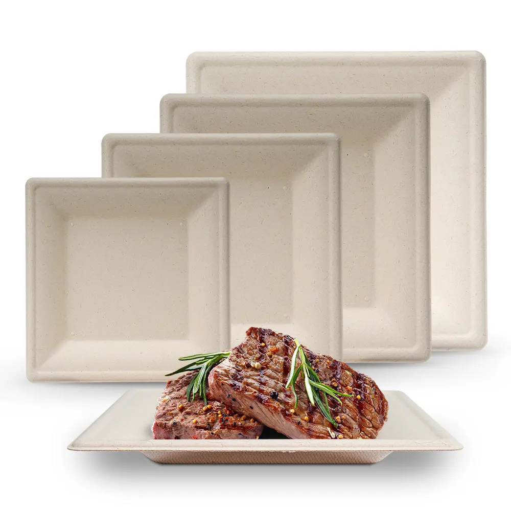 Assiettes de bagasse rectangulaires Assiette carrée de bagasse jetable Assiette jetable de canne à sucre en papier de canne à sucre Bagasse