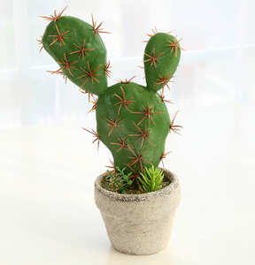 <span class=keywords><strong>Cactus</strong></span> artificiel d'extérieur durable de haute qualité, meilleur <span class=keywords><strong>prix</strong></span> de gros pour <span class=keywords><strong>boule</strong></span> de <span class=keywords><strong>cactus</strong></span> artificielle - Product Image 5